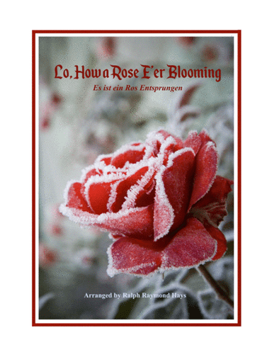 Lo, How a Rose E'er Blooming (for flute quartet) (arr. Ralph Raymond Hays)
