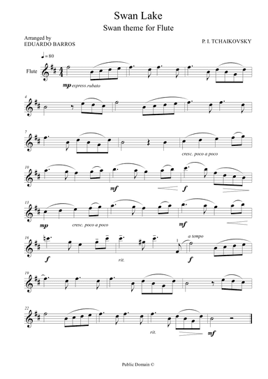 Swan Lake - Swan theme for Flute and Piano (arr. Eduardo Barros)