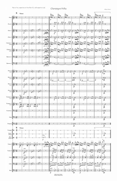 Champagne Polka (arr. Editions Glenn Michael, Caracas, Venezuela)