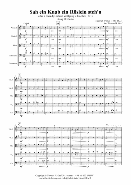Sah ein Knab ein Roeslein stehn - German Folk Song - String Orchestra (arr. Thomas H. Graf)
