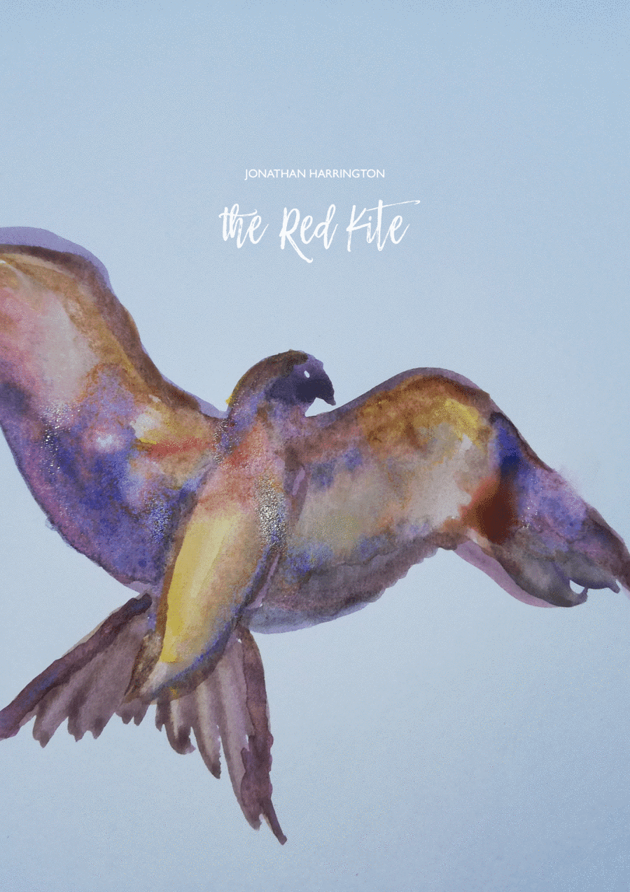 Opus 14: The Red Kite