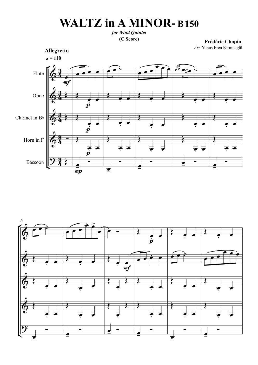 Chopin Waltz in A Minor- B150 for Wind Quintet (arr. Yunus Eren Kırmızıgül)