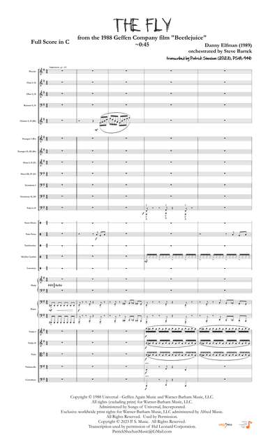 The Fly (arr. Patrick Sheehan)