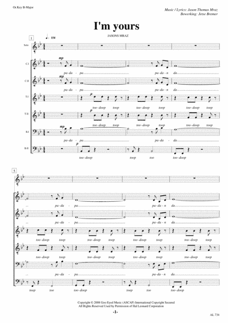 I'm Yours (arr. Jetse Bremer)
