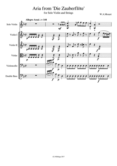 String Chamber Series: Magic Flute (arr. 9Siblingz)