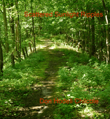 Scattered Sunlight Ripples