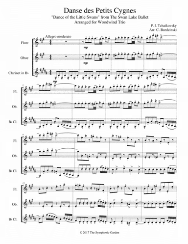 Dance of the Little Swans from Swan Lake - woodwind trio (flute, oboe, clarinet) (arr. C. Burdzinski)