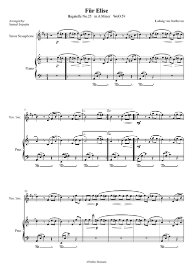 Für Elise (For Elise) - for Tenor Saxophone and Piano accompaniment - with Piano Play along (arr. Samuel Sequeira)