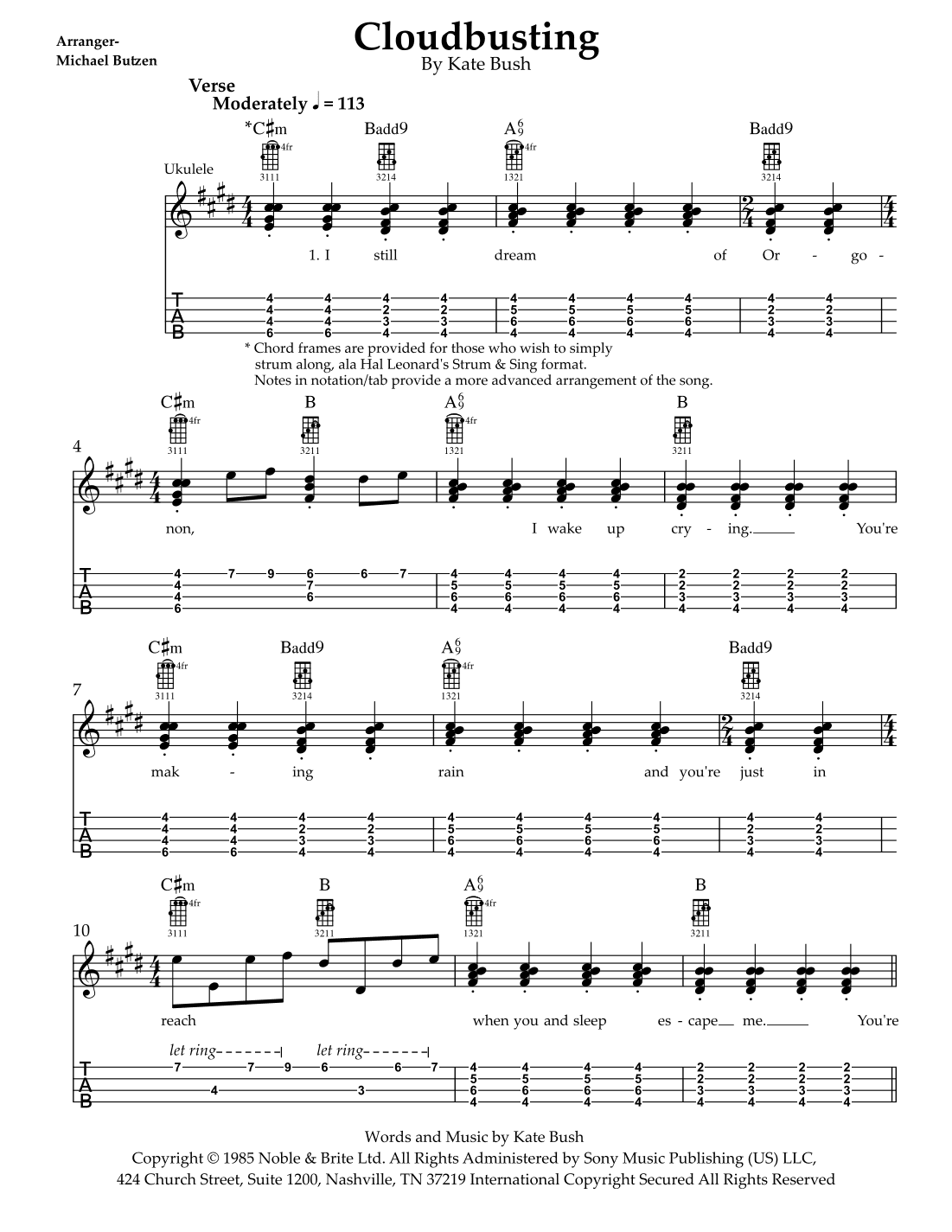 Cloudbusting (arr. Michael Butzen)