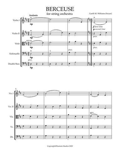 BERCEUSE FOR YOUNG STRING ORCHESTRA