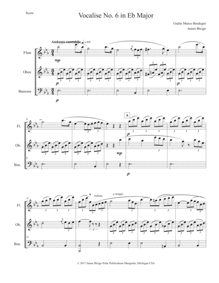 Vocalise No.6 in Eb Major (arr. James Bicigo)