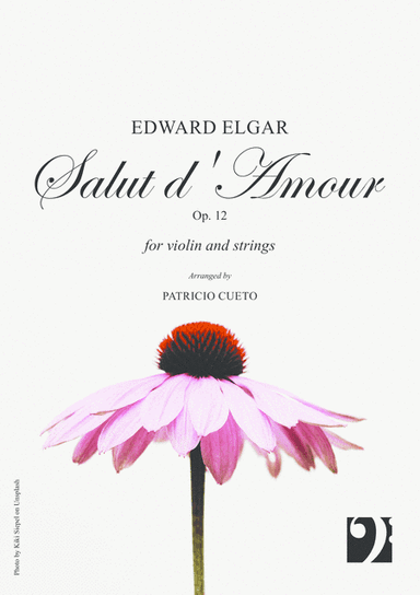 Salut d'amour - for violin and string orchestra (arr. Patricio Cueto)