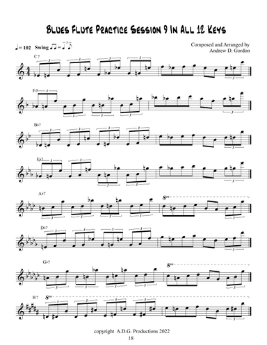 Blues Flute Practice Session 9 In All 12 Keys