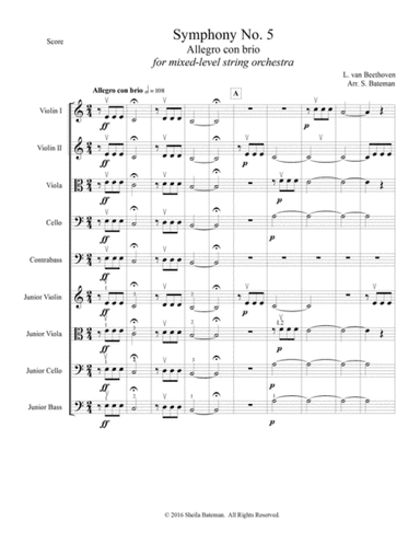 Beethoven Symphony No. 5 for Mixed Level String Orchestra (arr. Sheila Bateman)