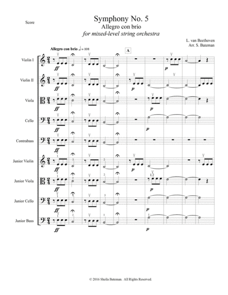 Beethoven Symphony No. 5 for Mixed Level String Orchestra (arr. Sheila Bateman)