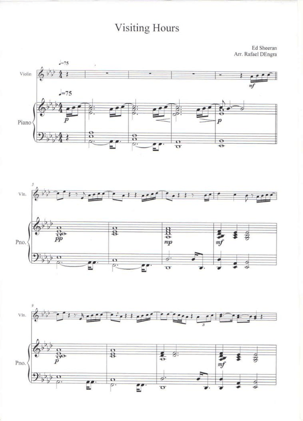 Visiting Hours (arr. Rafael Dengra)