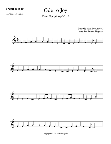Ode to Joy ( Theme From Symphony No. 9) (arr. Suzan Beyazit)