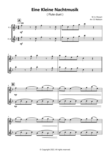 Eine Kleine Nachtmusik flute duet (arr. Douglas Wattson)