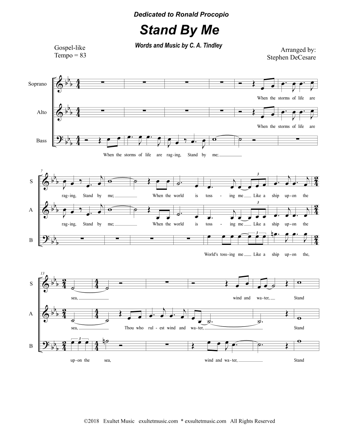 Stand By Me (SAB) (arr. Stephen DeCesare)