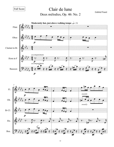 Clair de lune (Deux mélodies, Op. 46, No. 2) - Gabriel Fauré for woodwind quintet (arr. Lyndon Smith)