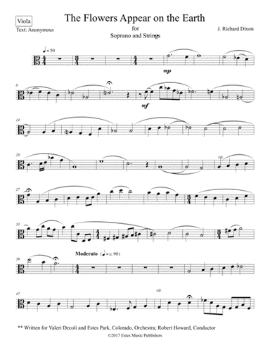 The Flowers Appear on the Earth--viola