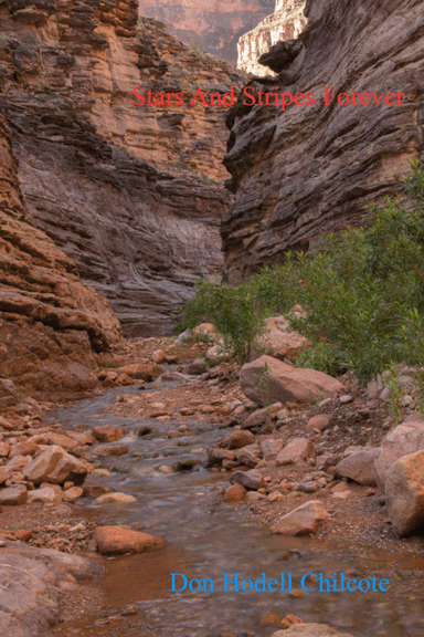 Stars And Stripes Forever (arr. Don Hodell Chilcote)