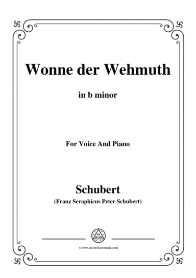 Schubert-Wonne der Wehmuth,Op.115 No.2,in b minor,for Voice&Piano (arr. MSM)