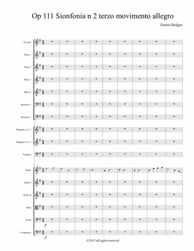 Op 111 Sinfonia n 2 terzo movimento Allegro