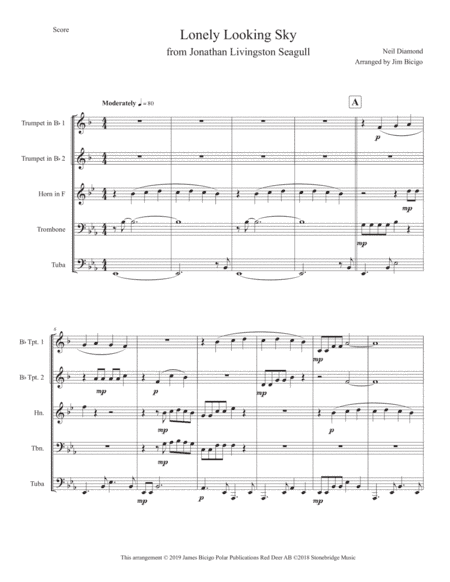 Lonely Looking Sky (arr. Jim Bicigo)