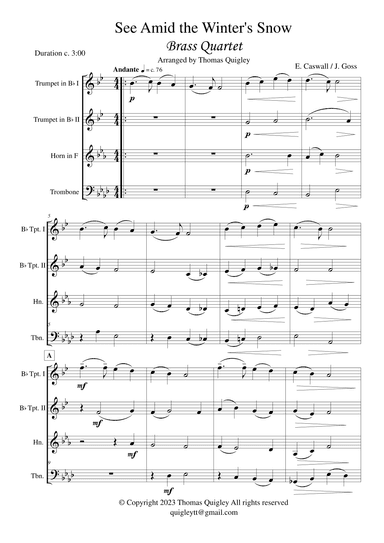 See Amid the Winter's Snow (arr. Thomas Quigley)