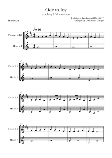 Ode To joy (Symphony 9 5th movement) (arr. Davi Rocha Campos)