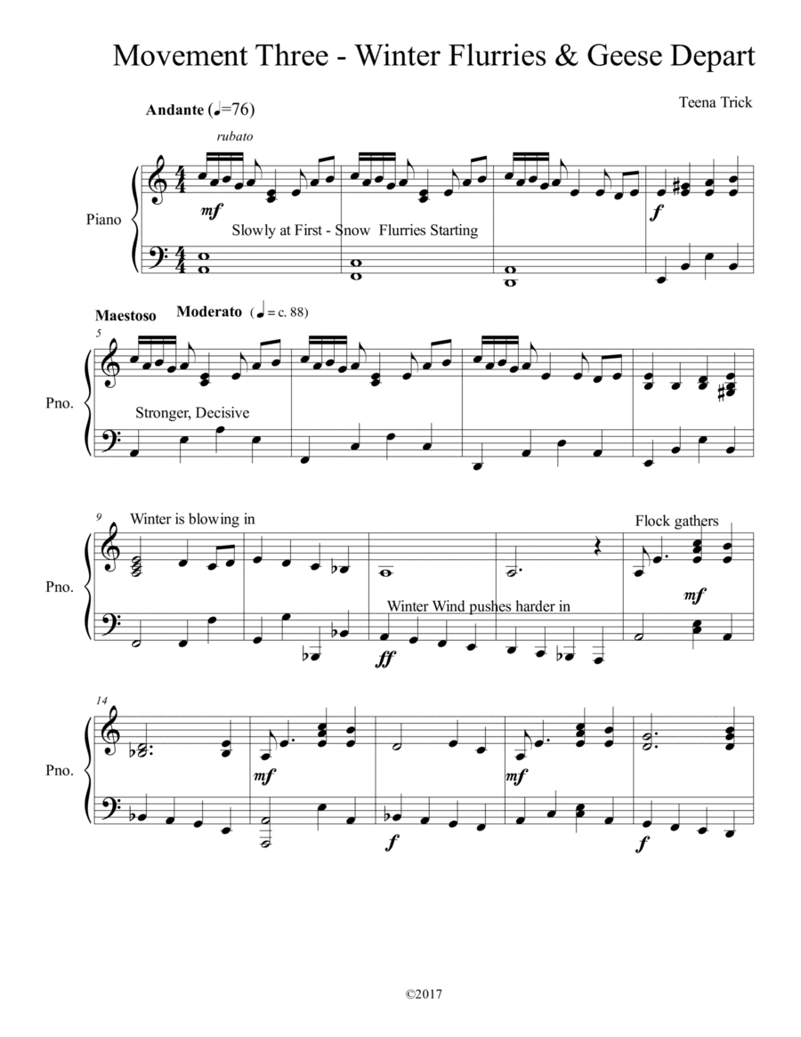 Winter Flurries - Movement 3 of the Canadian Geese Suite