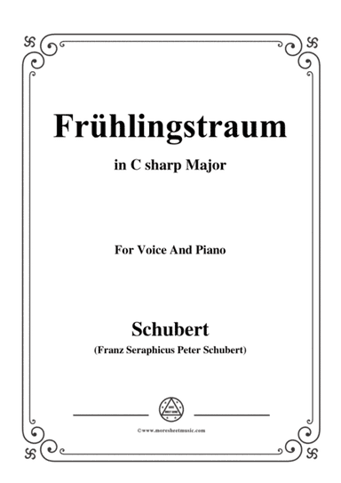 Schubert-Frühlingstraum,from 'Winterreise',Op.89(D.911) No.11,in C sharp Major,for Voice&Piano (arr. MSM)