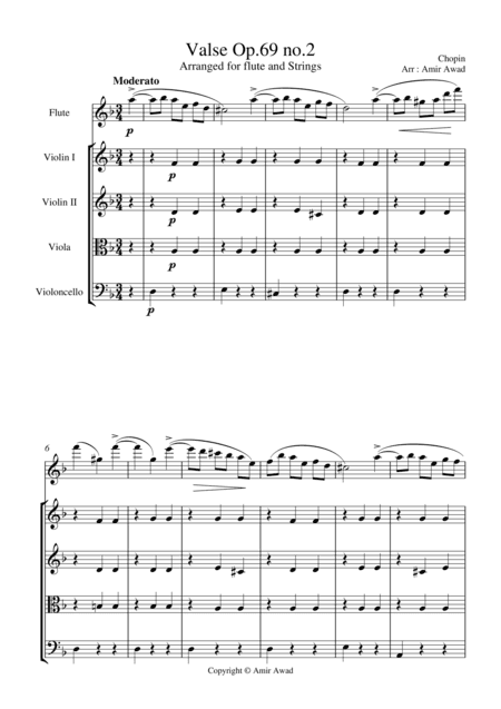 Chopin : Valse Op. 69 no.2 Arranged for Flute and String Orchestra (arr. Amir Awad)