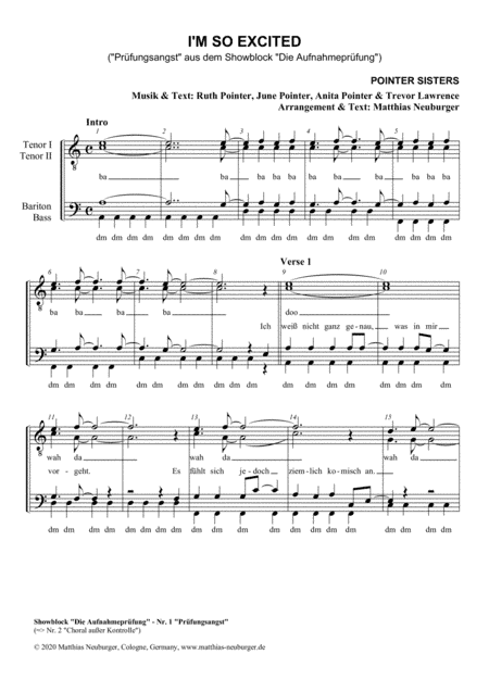 I'm So Excited (arr. Matthias Neuburger)
