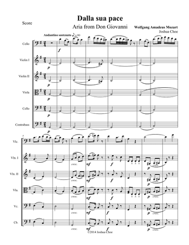 "Dalla sua pace" from Don Giovanni (arr. Joshua Choe)