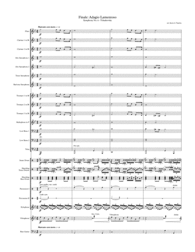 Finale: Adagio Lamentoso, from Symphony No. 6 by Tchaikovsky (arr. Jason A. Taurins)