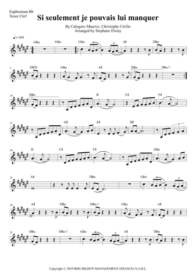 Si Seulement Je Pouvais Lui Manquer (arr. Stephane ELSINY)