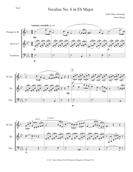 Vocalise No.6 in Eb Major (arr. James Bicigo)