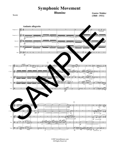 Blumine Symphonic Movement for Brass Quintet (arr. Dorm 40 Music)