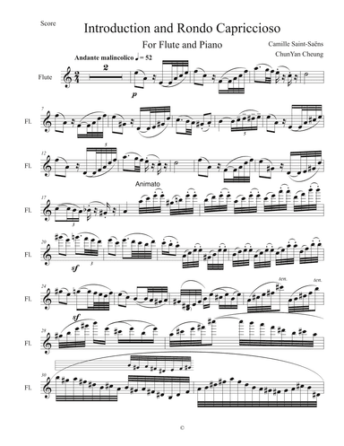 Introduction and Rondo Capriccioso (arr. ChunYan Cheung)
