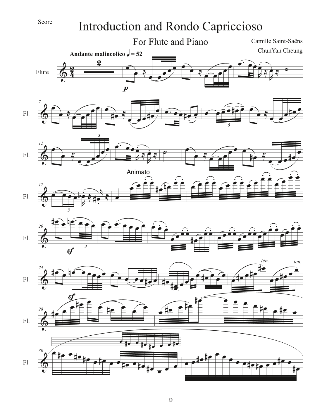 Introduction and Rondo Capriccioso (arr. ChunYan Cheung)