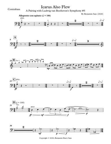 Icarus Also Flew: A Pairing with Beethoven's Symphony #5 - Contrabass