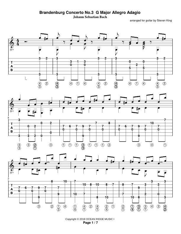 Brandenburg Concerto No.3 G Major Allegro Adagio (arr. Steven Michael King)