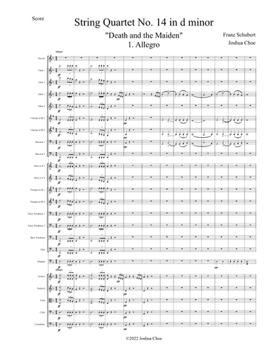 "Death and the Maiden" Quartet, Movement 1 (arr. Joshua Choe)