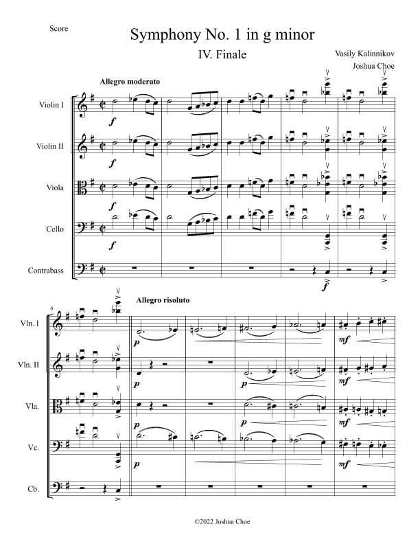 Symphony No. 1 in g minor, Movement 4 (Arranged for String Orchestra) (arr. Joshua Choe)