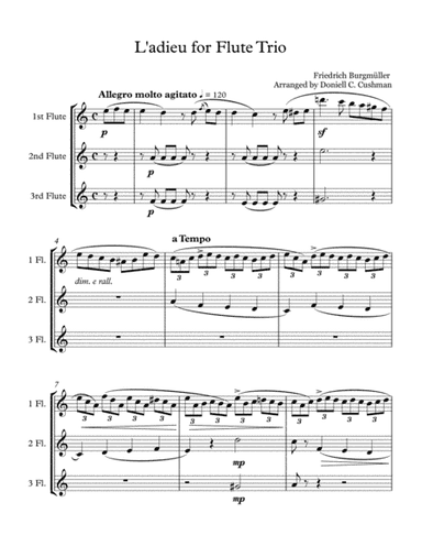 L'adieu - Flute Trio (arr. Doniell Cushman)