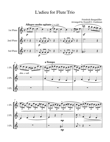 L'adieu - Flute Trio (arr. Doniell Cushman)