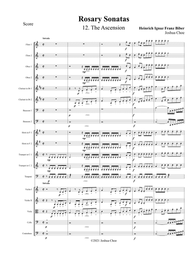 Rosary Sonatas: The Ascension (arr. Joshua Choe)