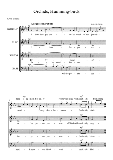 Orchids, humming-birds by Hope Mendelssohn